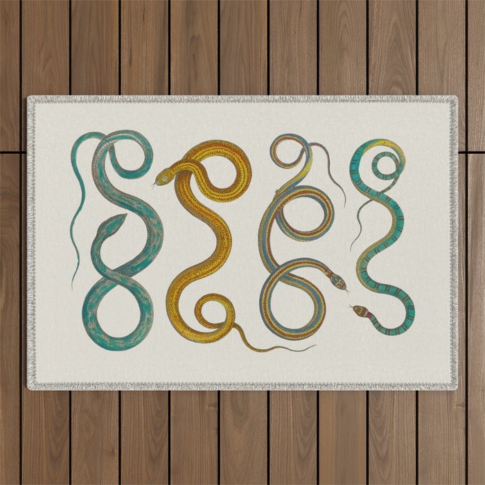 Albertus Seba Snakes Illustration Teal And Yellow Scales Outdoor Rug Gallery Image 1