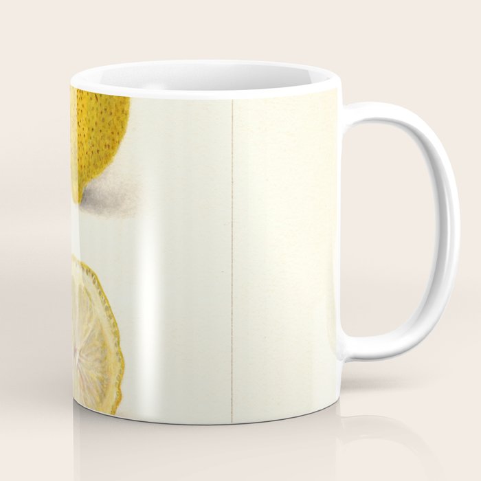 Vintage Lemon Botanical Illustration Antique Citrus Fruit Art with Yellow Tones Coffee Mug Gallery Image 1