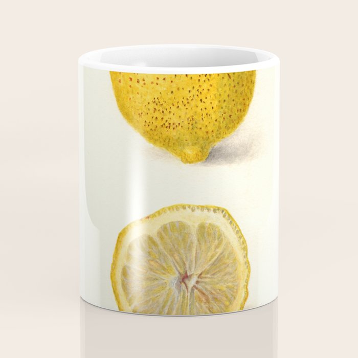 Vintage Lemon Botanical Illustration Antique Citrus Fruit Art with Yellow Tones Coffee Mug Gallery Image 4