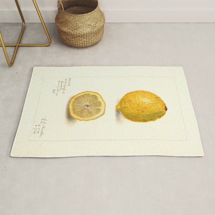 Vintage Lemon Botanical Illustration Antique Citrus Fruit Art with Yellow Tones Rug Gallery Image 1