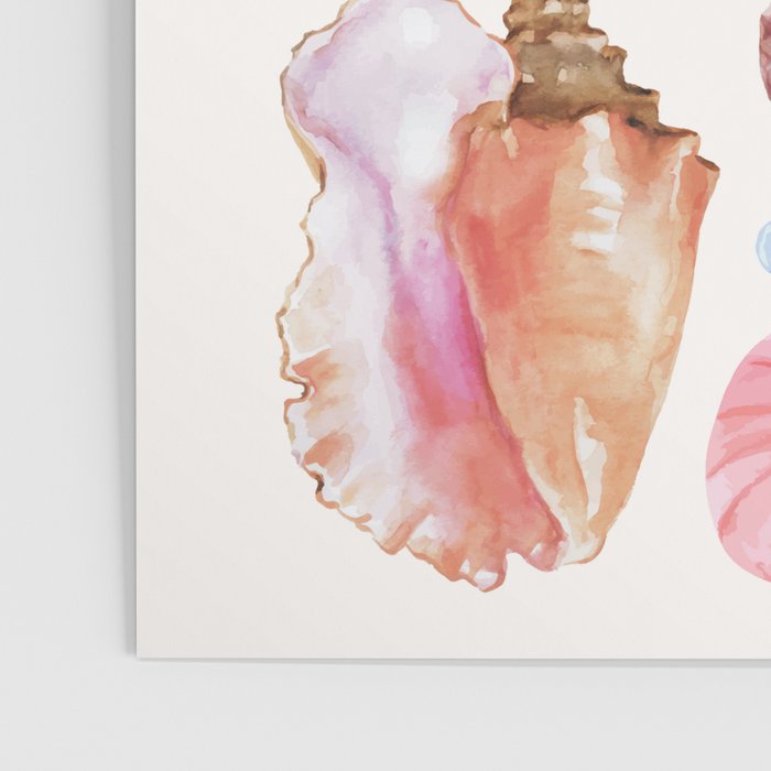 Watercolor Seashells Poster Gallery Image 3