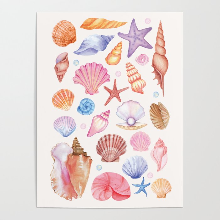 Watercolor Seashells Poster Gallery Image 4