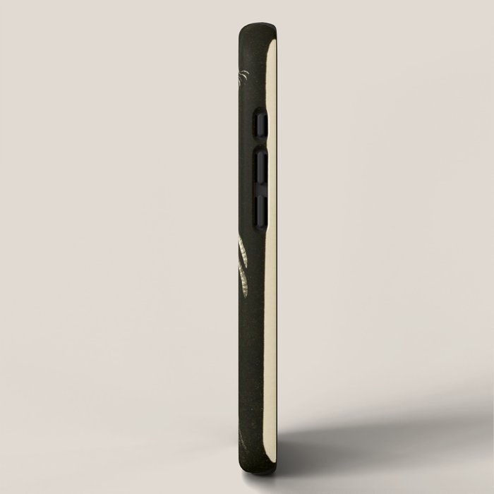 Medusa from "A Naturalist's Rambles on the Devonshire Coast" by Philip Henry Gosse, 1853 (benefitting The Nature Conservancy) iPhone Case Gallery Image 2