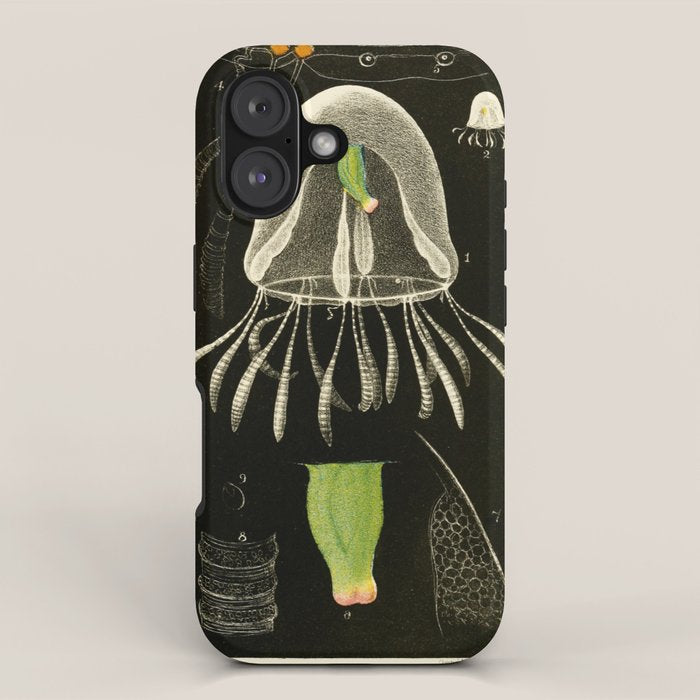 Medusa from "A Naturalist's Rambles on the Devonshire Coast" by Philip Henry Gosse, 1853 (benefitting The Nature Conservancy) iPhone Case Gallery Image 1