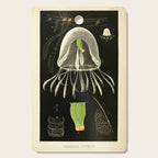 Medusa from "A Naturalist's Rambles on the Devonshire Coast" by Philip Henry Gosse, 1853 (benefitting The Nature Conservancy) Cutting Board Gallery Image 1
