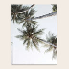 Palm Canopy - Minimal Tropical Wall Art Notebook Gallery Image 4