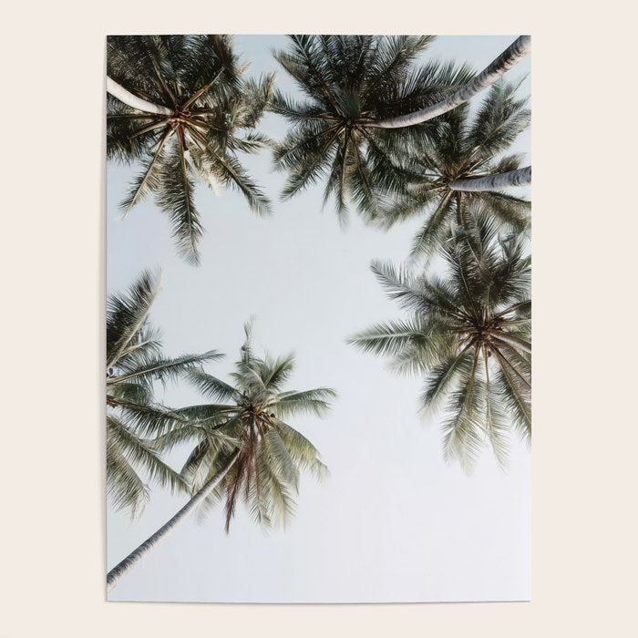 Palm Canopy - Minimal Tropical Wall Art Poster Gallery Image 1