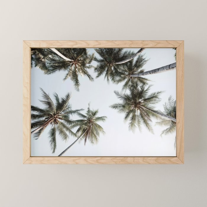 Palm Canopy - Minimal Tropical Wall Art Mini Art Print Gallery Image 1