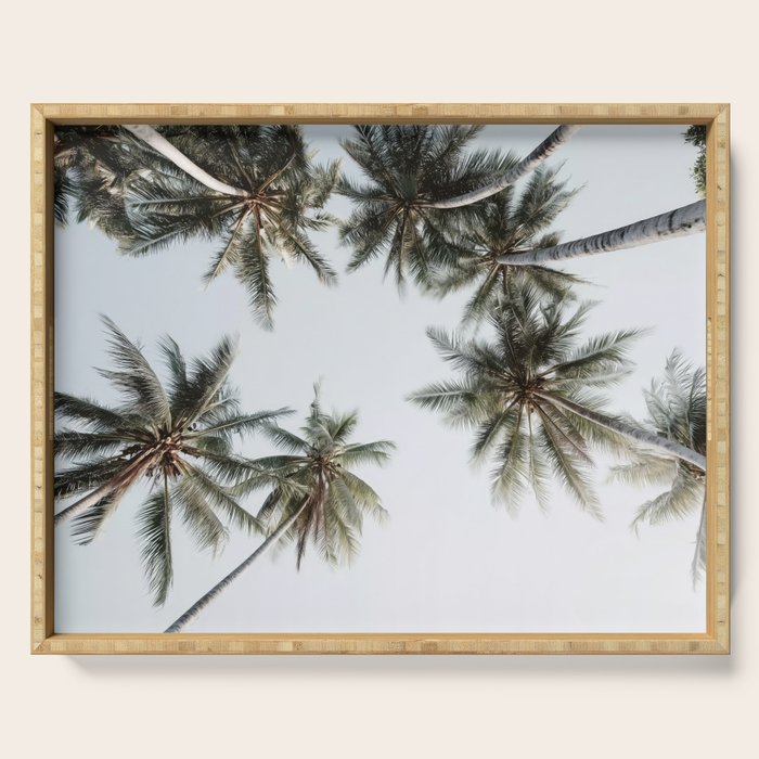Palm Canopy - Minimal Tropical Wall Art Serving Tray Gallery Image 1