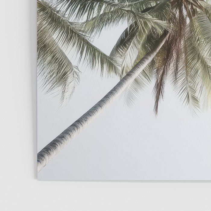 Palm Canopy - Minimal Tropical Wall Art Poster Gallery Image 3