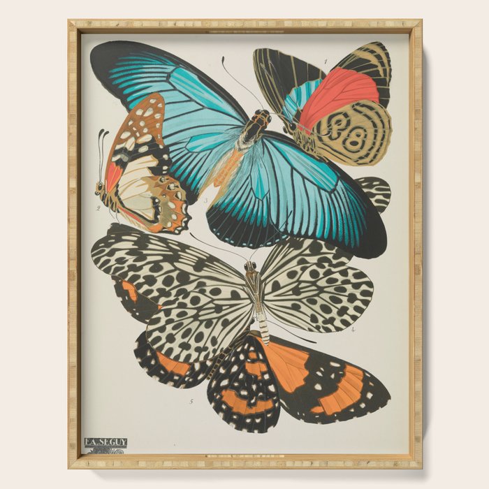 Butterfly Print by E.A. Seguy, 1925 #2 Serving Tray Gallery Image 1