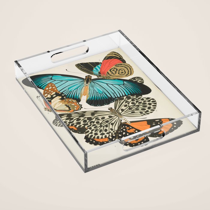 Butterfly Print by E.A. Seguy, 1925 #2 Acrylic Tray Gallery Image 1
