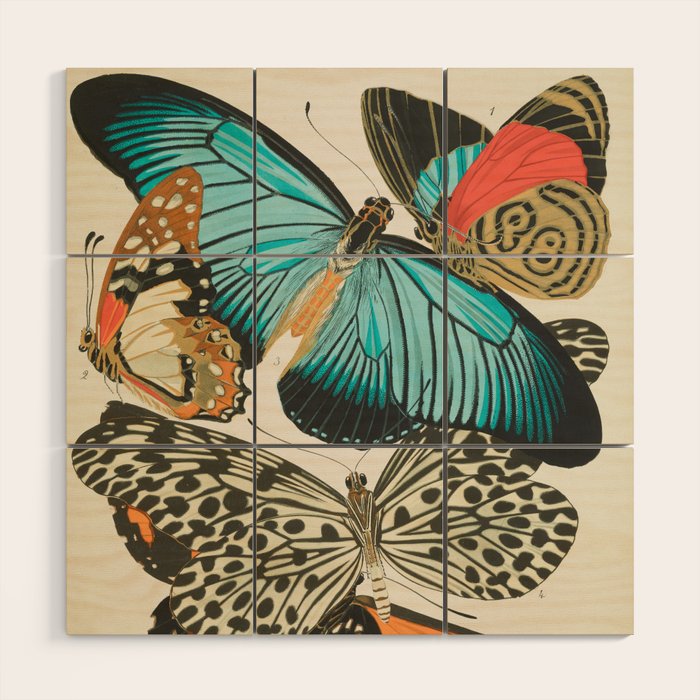 Butterfly Print by E.A. Seguy, 1925 #2 Wood Wall Art Gallery Image 1