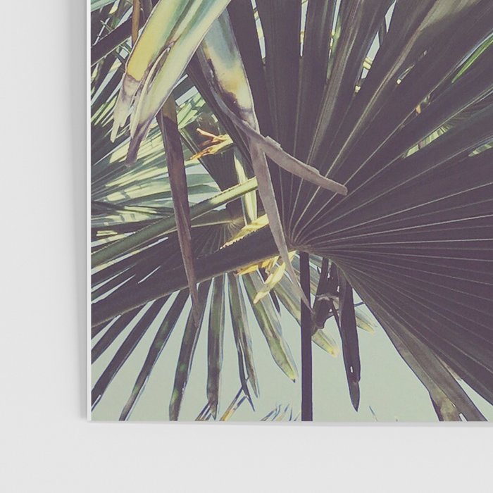 Palm Tree Poster Gallery Image 3
