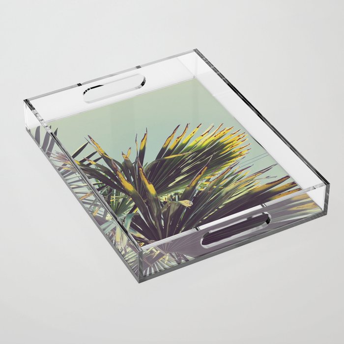 Palm Tree Acrylic Tray Gallery Image 1