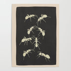 Ants in Formation 6 Poster Gallery Image 4