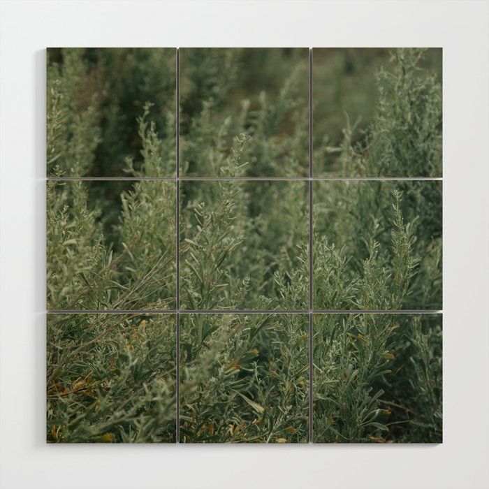 Sage Wood Wall Art Gallery Image 1