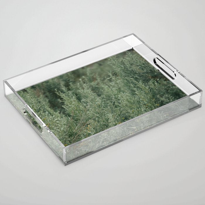 Sage Acrylic Tray Gallery Image 1