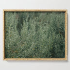 Sage Serving Tray Gallery Image 1