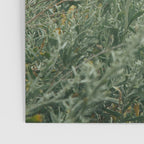 Sage Poster Gallery Image 3