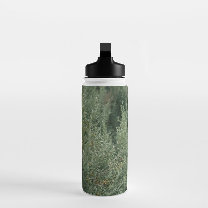 Sage Water Bottle Gallery Image 3