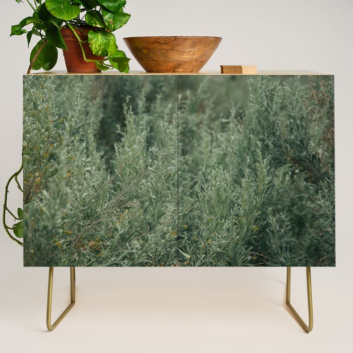 Sage Credenza Gallery Image 1