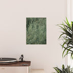 Sage Poster Gallery Image 2