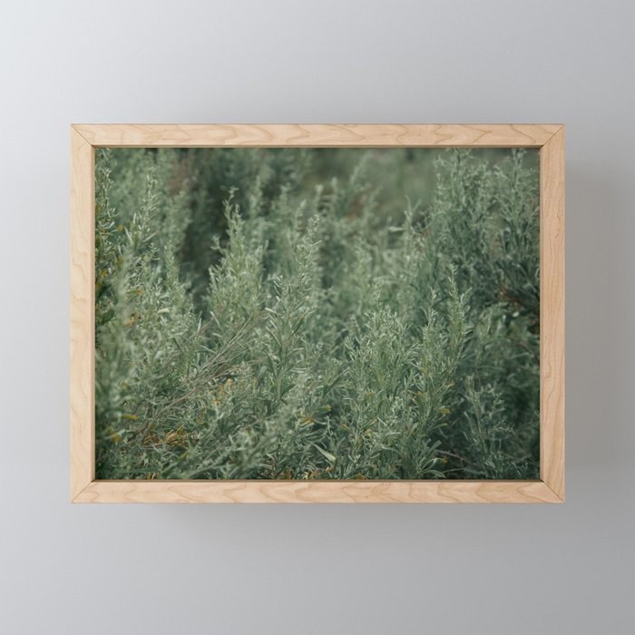 Sage Mini Art Print Gallery Image 1