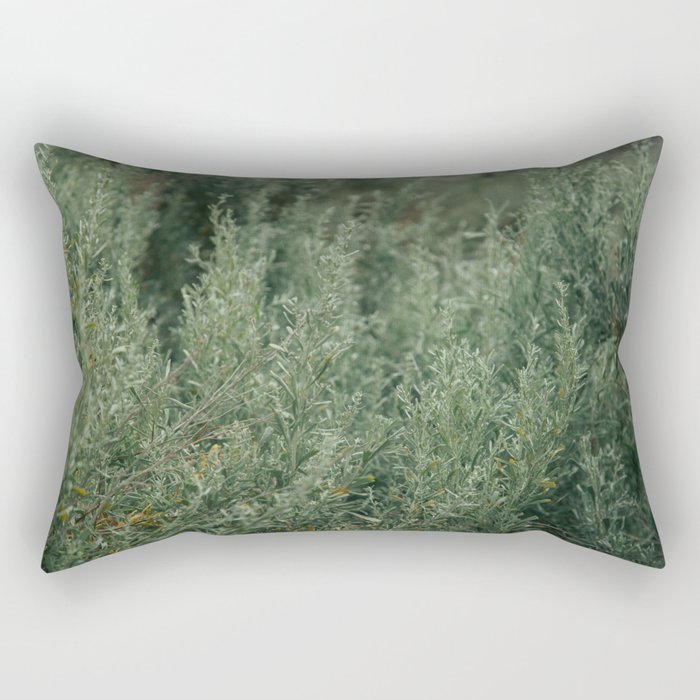 Sage Rectangular Pillow Gallery Image 1