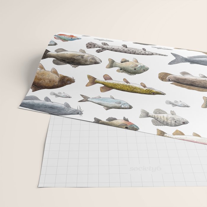 A Few Freshwater Fish Wrapping Paper Gallery Image 2