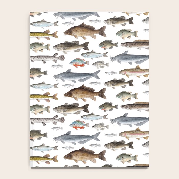 A Few Freshwater Fish Notebook Gallery Image 4