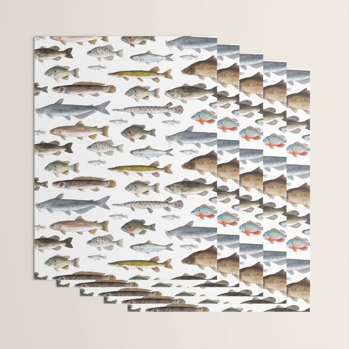 A Few Freshwater Fish Wrapping Paper Gallery Image 3