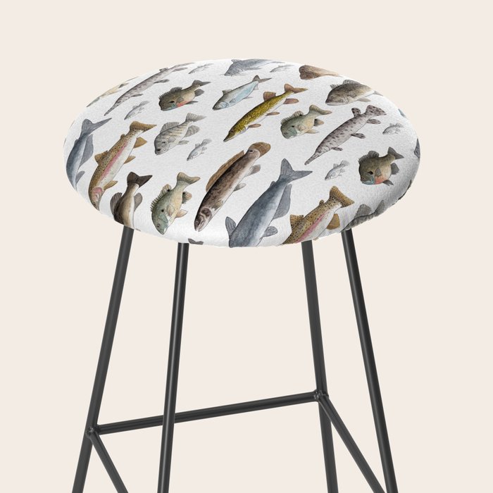 A Few Freshwater Fish Stool Gallery Image 2
