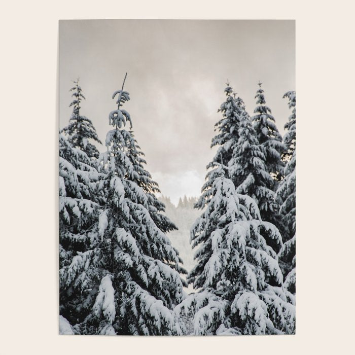 Winter Woods II - Snow Capped Forest Adventure Nature Photography Poster Gallery Image 4