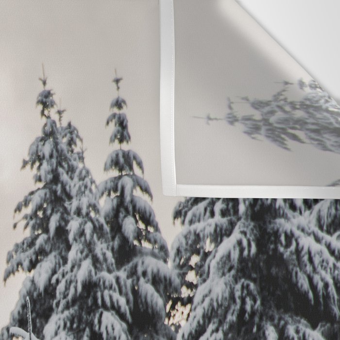 Winter Woods II - Snow Capped Forest Adventure Nature Photography Wall Tapestry Gallery Image 3