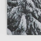 Winter Woods II - Snow Capped Forest Adventure Nature Photography Poster Gallery Image 3
