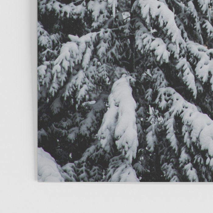 Winter Woods II - Snow Capped Forest Adventure Nature Photography Poster Gallery Image 3