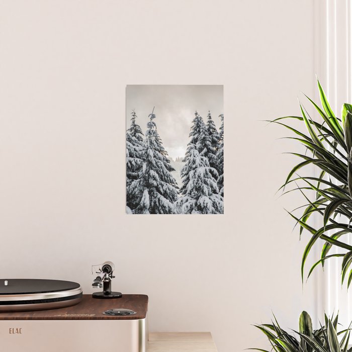 Winter Woods II - Snow Capped Forest Adventure Nature Photography Poster Gallery Image 2