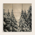 Winter Woods II - Snow Capped Forest Adventure Nature Photography Wood Wall Art Gallery Image 1