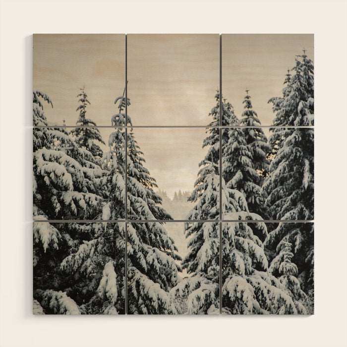 Winter Woods II - Snow Capped Forest Adventure Nature Photography Wood Wall Art Gallery Image 1