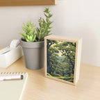 Quiet Panda Forest Mini Art Print Gallery Image 2