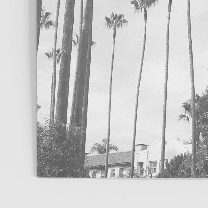 The Beverly Hills Hotel | California Travel Photography | Black and White Photo Print Poster Gallery Image 3