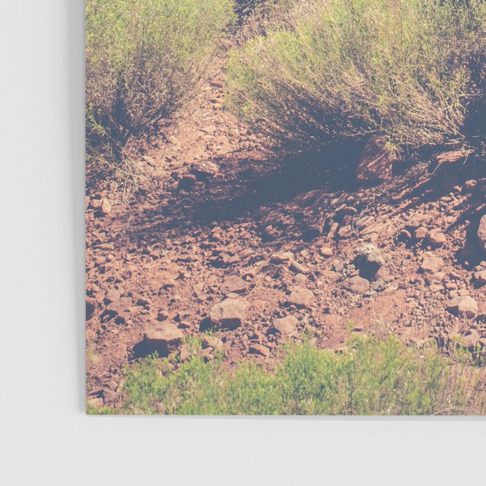 Wild Sedona Poster Gallery Image 3