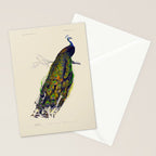 Vintage Peacock Stationery Card Gallery Image 2