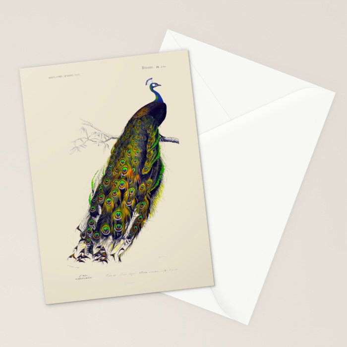 Vintage Peacock Stationery Card Gallery Image 2