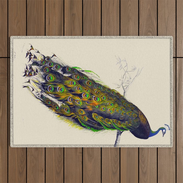 Vintage Peacock Outdoor Rug Gallery Image 1