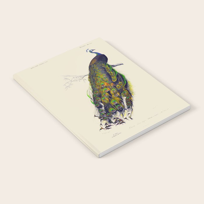 Vintage Peacock Notebook Gallery Image 2