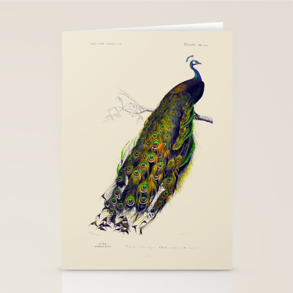 Vintage Peacock Stationery Card Gallery Image 2