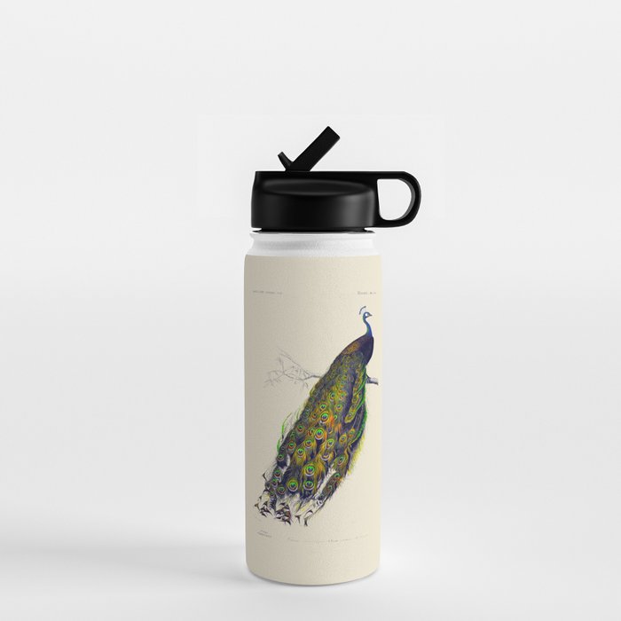 Vintage Peacock Water Bottle Gallery Image 1