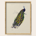 Vintage Peacock Serving Tray Gallery Image 1